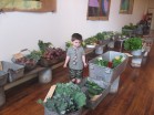Organic produce @ Chase's Daily in Maine